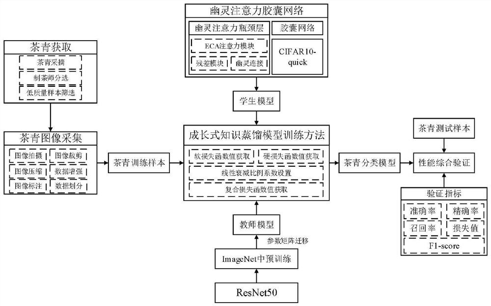 A kind of tea green classification method