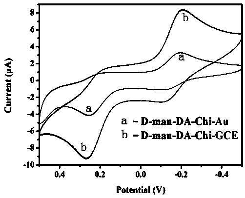 Preparation and detection method of escherichia coli electrochemical biosensor