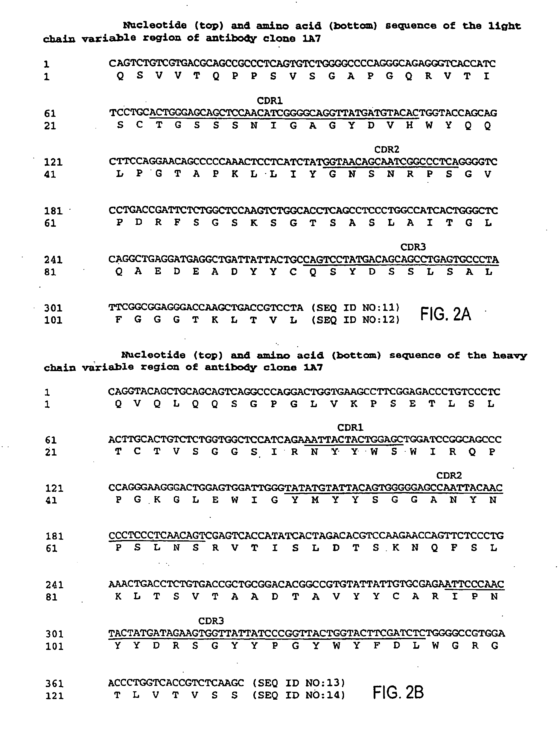 MHC-peptide complex binding ligands