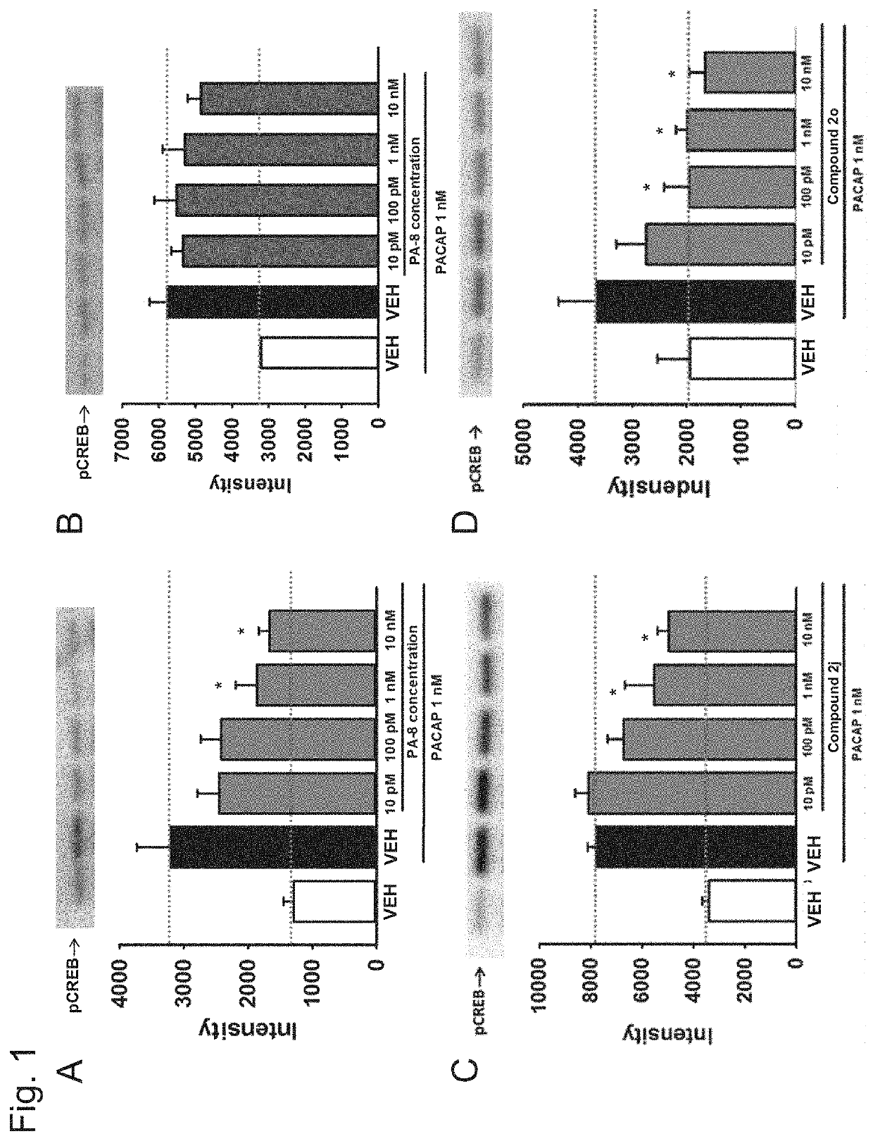 Analgesic drug using pac1 receptor antagonistic drug