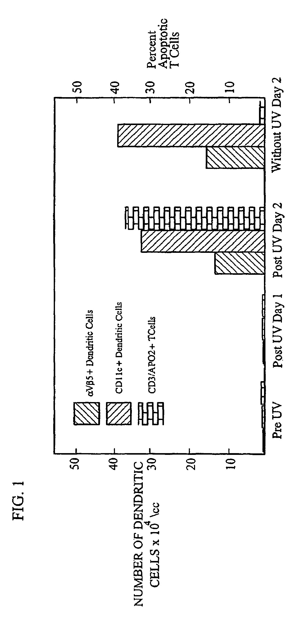 Methods for inducing the differentiation of monocytes into functional dendritic cells and immunotherapeutic compositions including such dendritic cells