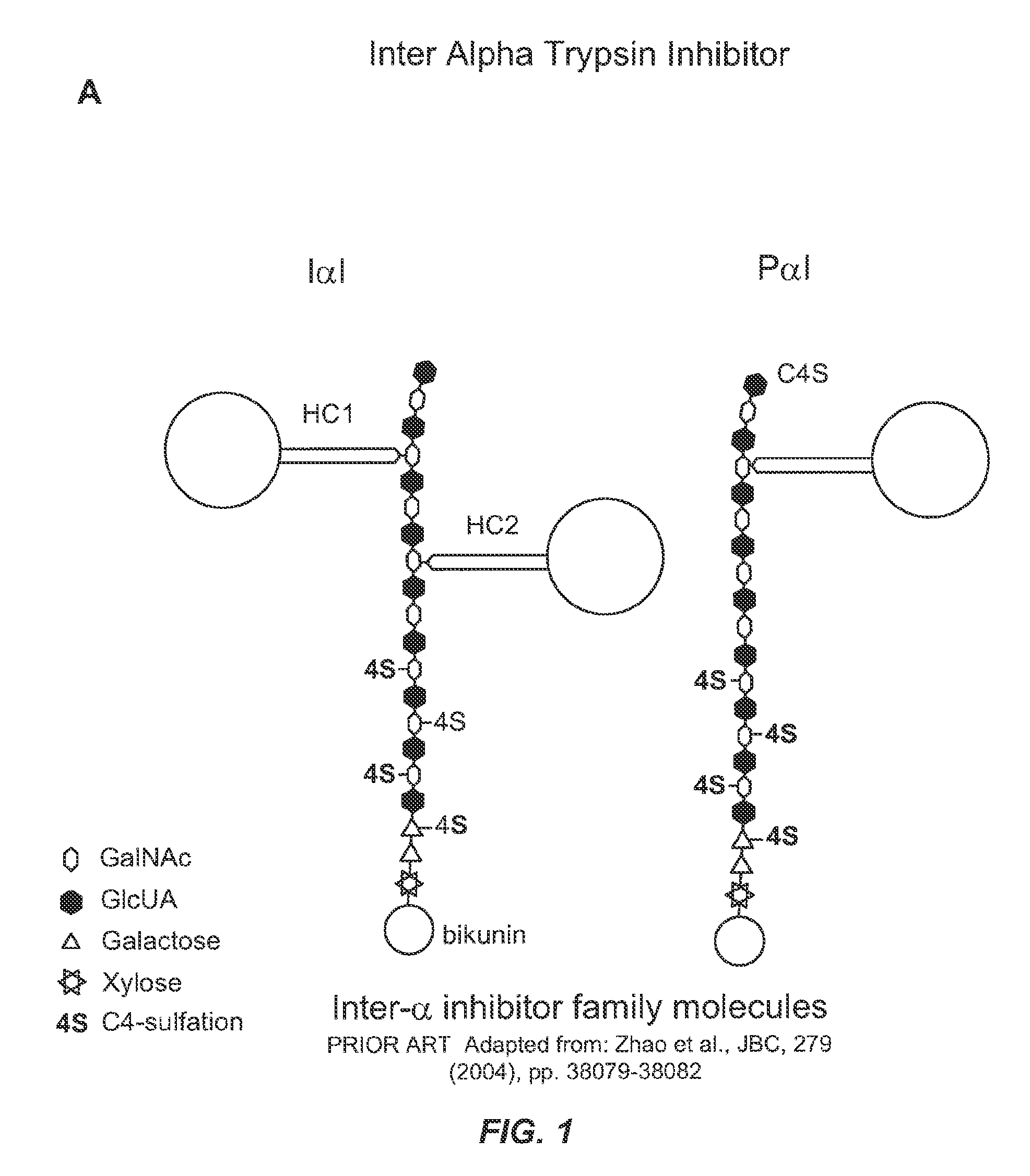 MANUFACTURE OF INTER-ALPHA-INHIBITOR (IaIp) FROM PLASMA