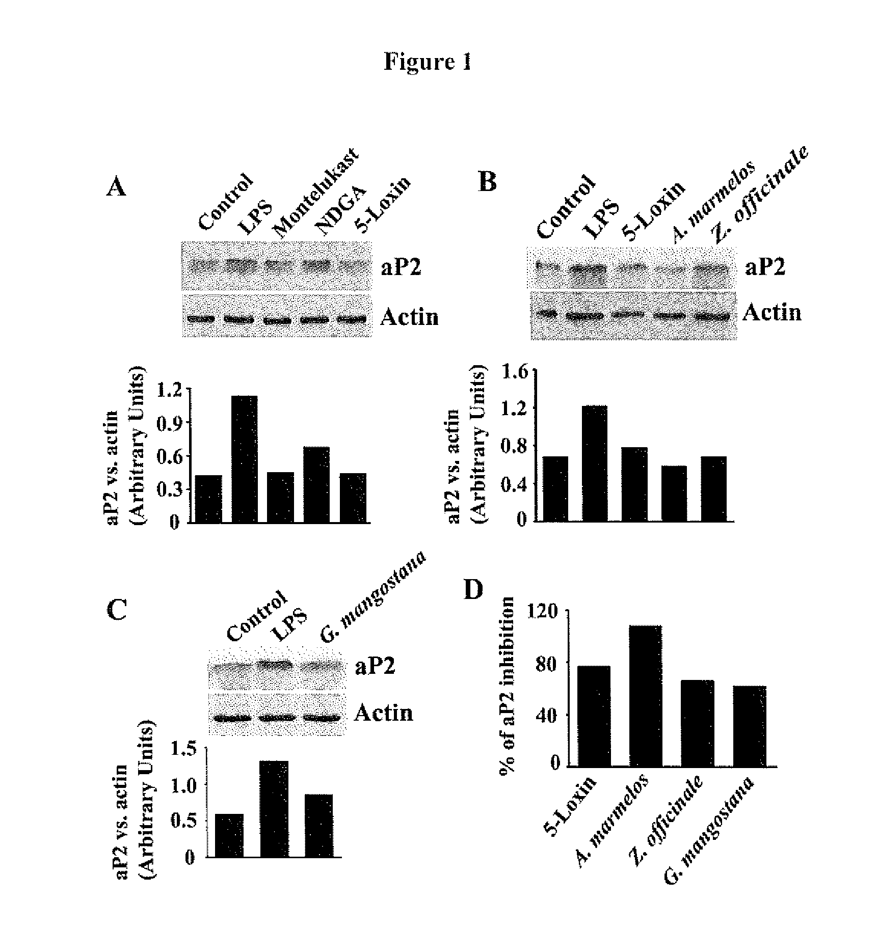Anti-adipocyte fatty acid-binding protein (AP2), Anti-flap and Anti-cyslt1 receptor herbal compositions