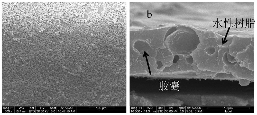 Microcapsule-containing self-detection and self-repair intelligent coating and preparation method thereof