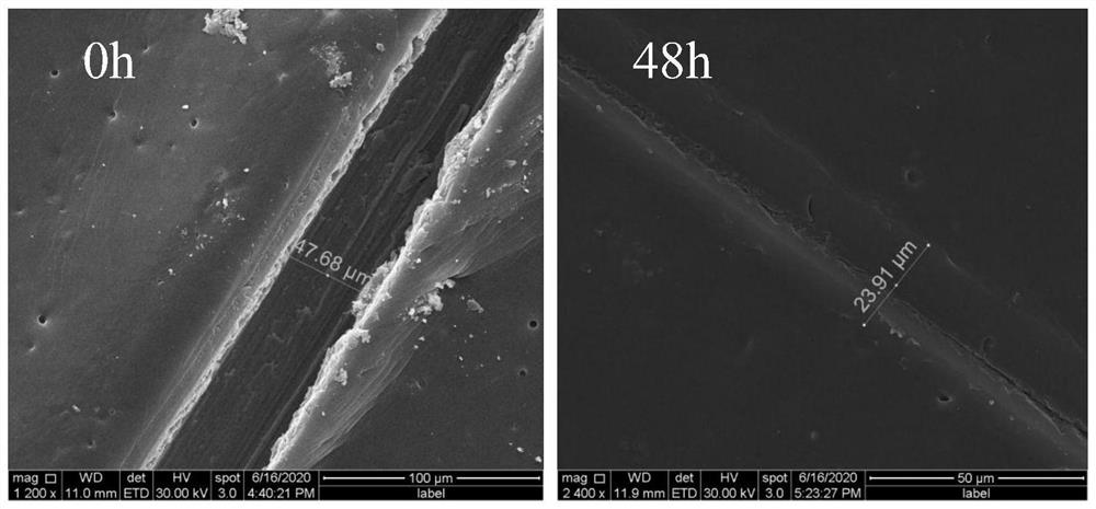 Microcapsule-containing self-detection and self-repair intelligent coating and preparation method thereof