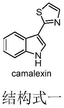 Camlexin derivative as well as preparation method and application thereof