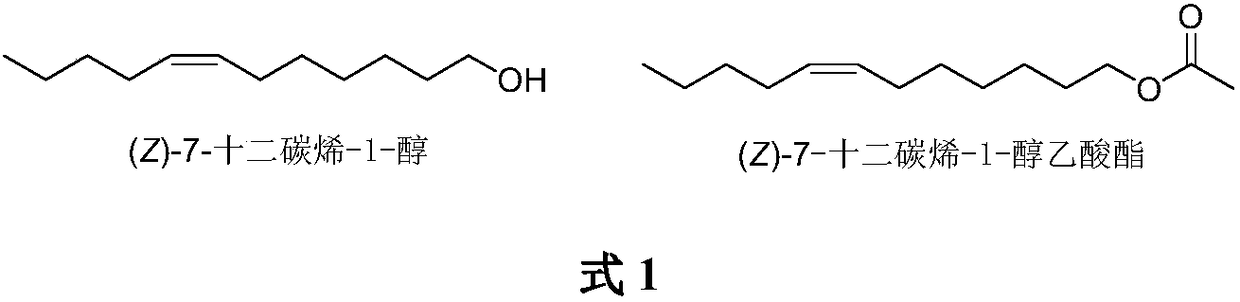 Synthesis of (Z)-7-dodecylene-1-alcohol and acetic ester thereof