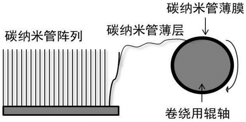 A highly oriented and high-strength array-stretched carbon nanotube film and its preparation method