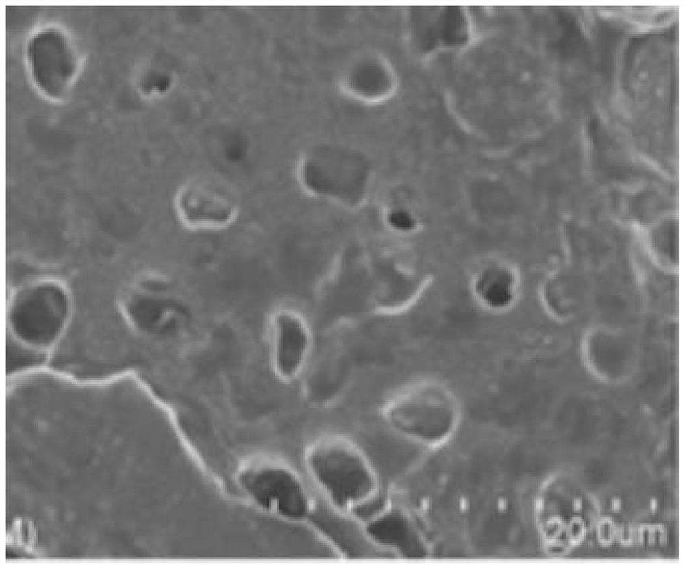 Long-term self-healing asphalt concrete based on stress-responsive multi-chamber capsules