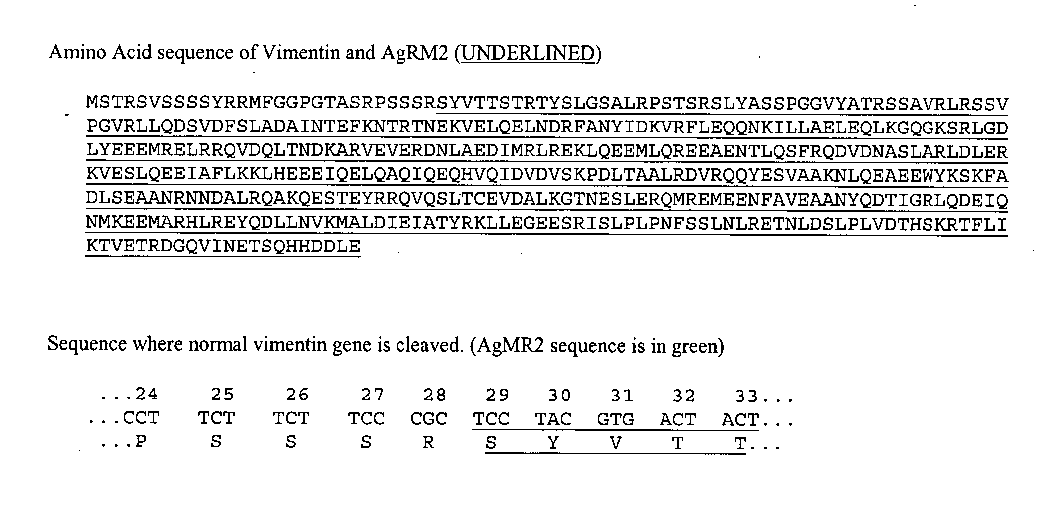 AgRM2 antigen