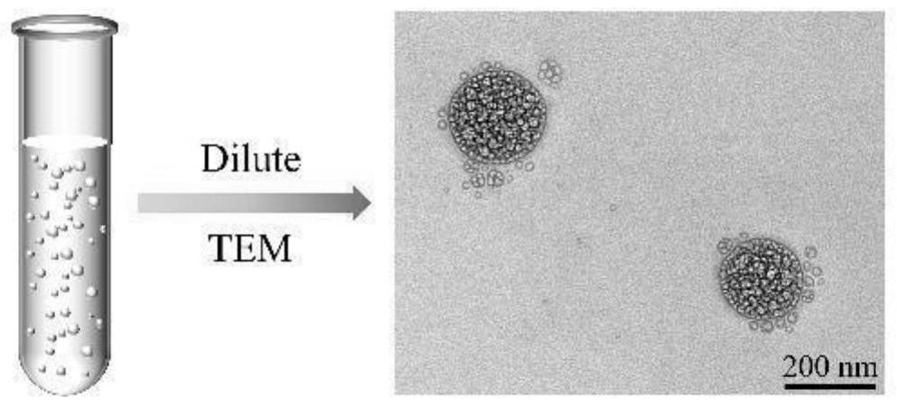 Application of fat emulsion in preparation of wound repair material