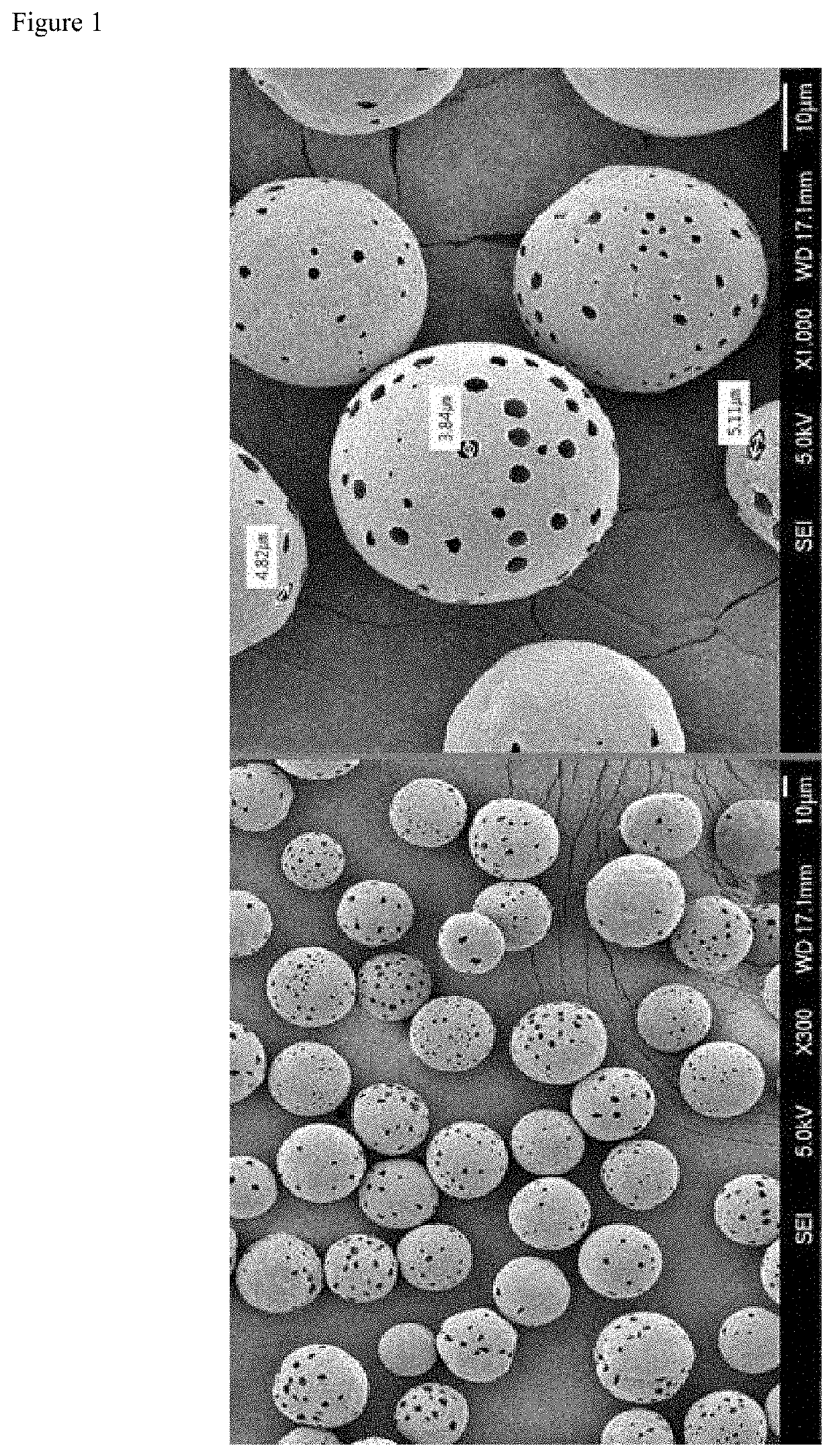 Porous microparticles of biodegradable polymer, and polymer filler comprising same