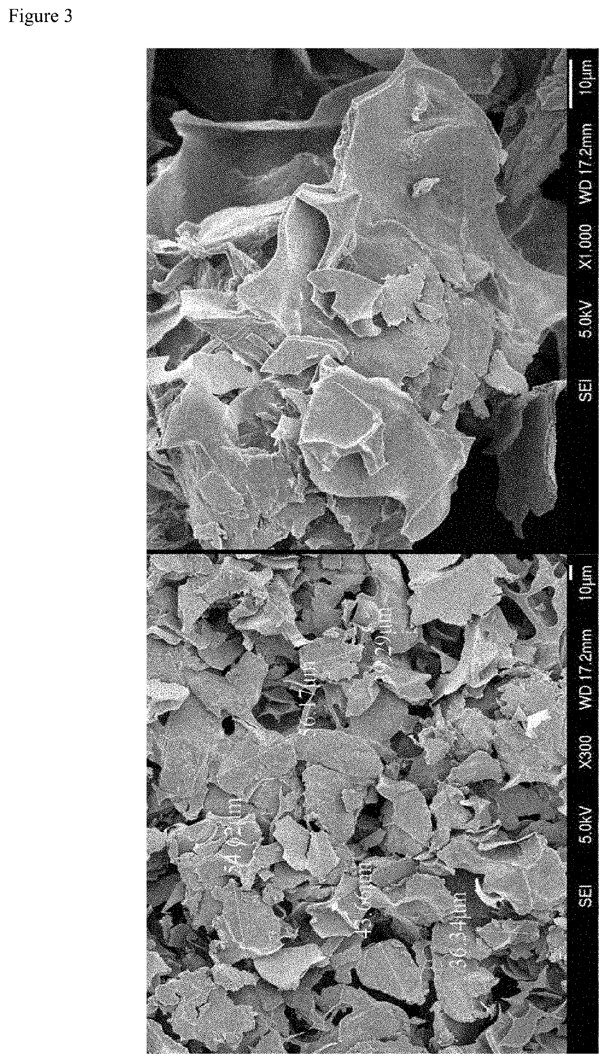 Porous microparticles of biodegradable polymer, and polymer filler comprising same
