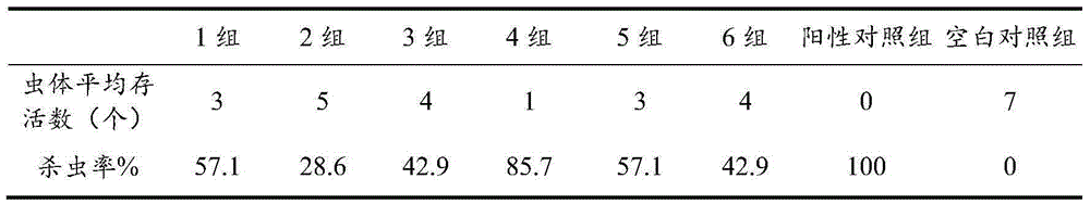 Traditional Chinese medicine composition for preventing or treating ectoparasite of aquatic culture animals and preparation method and application thereof