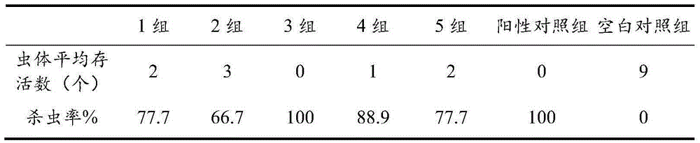 Traditional Chinese medicine composition for preventing or treating ectoparasite of aquatic culture animals and preparation method and application thereof