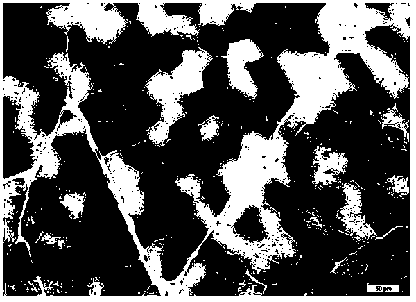 Myosin adenosine triphosphate staining method for frozen sections of skeletal muscle tissue