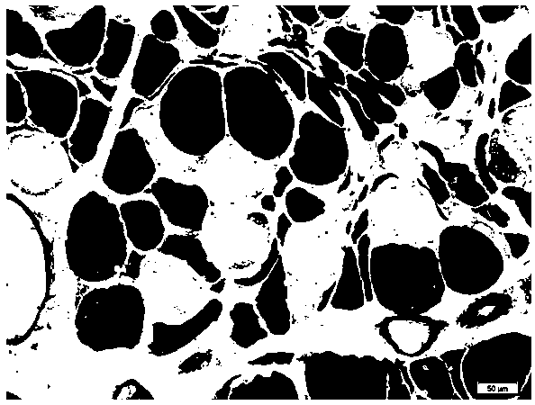 Myosin adenosine triphosphate staining method for frozen sections of skeletal muscle tissue