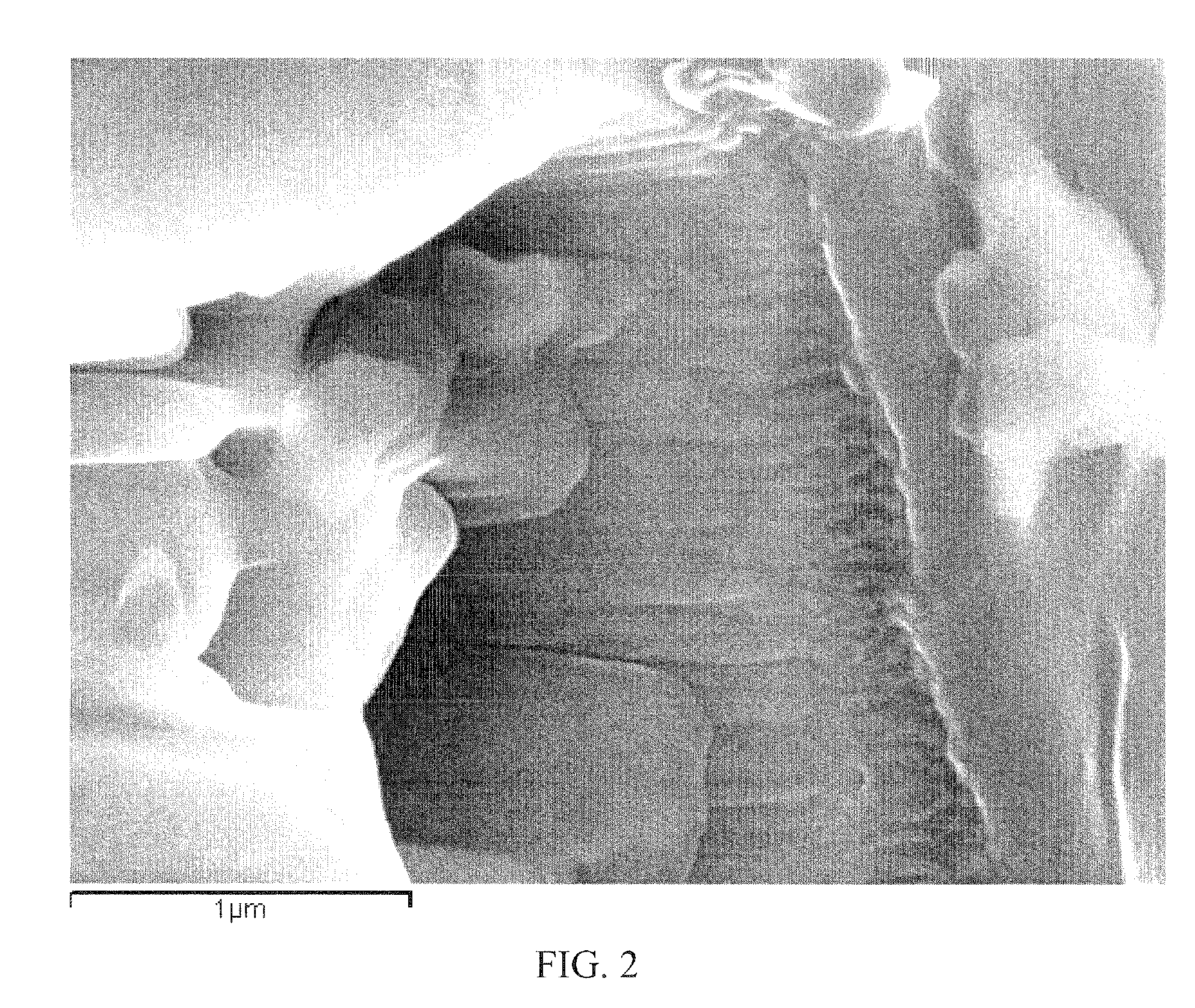 Method of using and producing tropoelastin and tropoelastin biomaterials