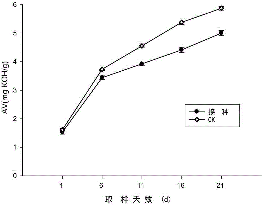 Compound leavening agent and application thereof in Chinese pork fermented sausage