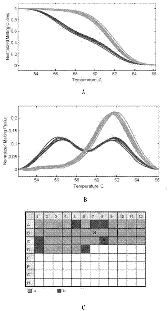 Method for detecting C135T single nucleotide polymorphism mark of turbot