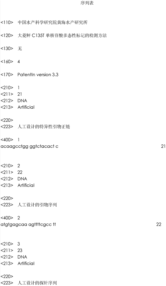 Method for detecting C135T single nucleotide polymorphism mark of turbot