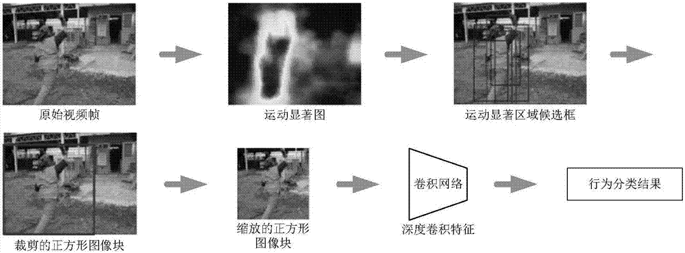 Video human body behavior recognition method based on motion saliency