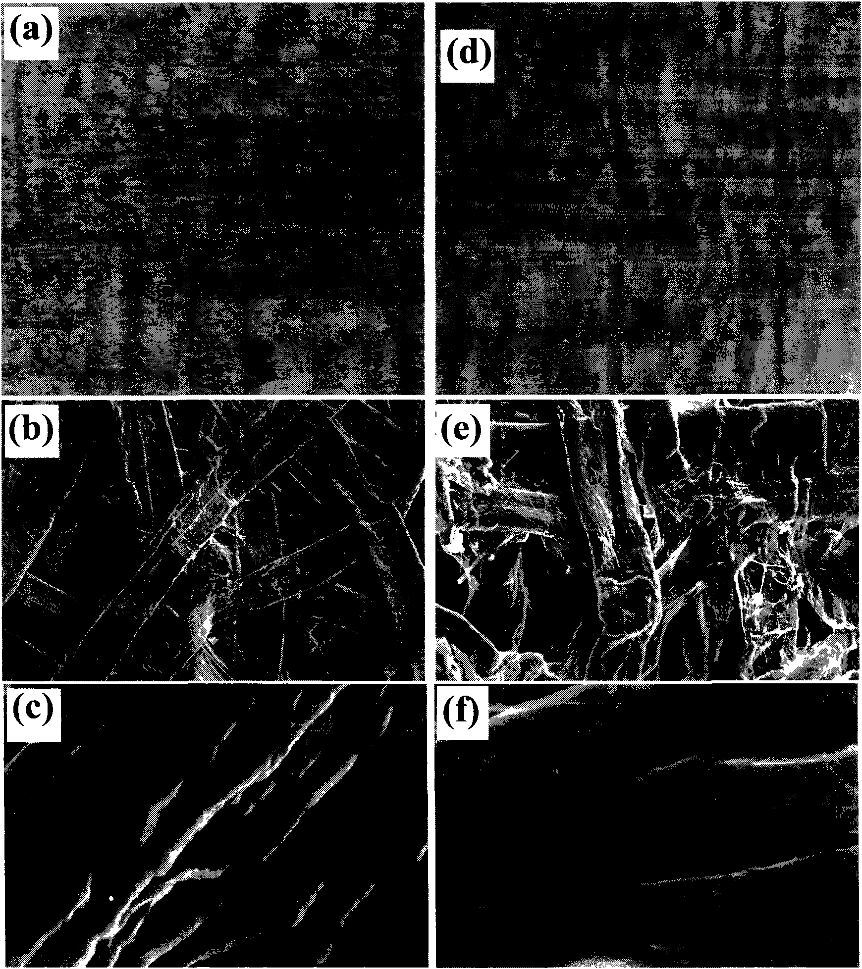 Method for in-situ preparation of silver nanoparticles loaded on natural cellulose sheet