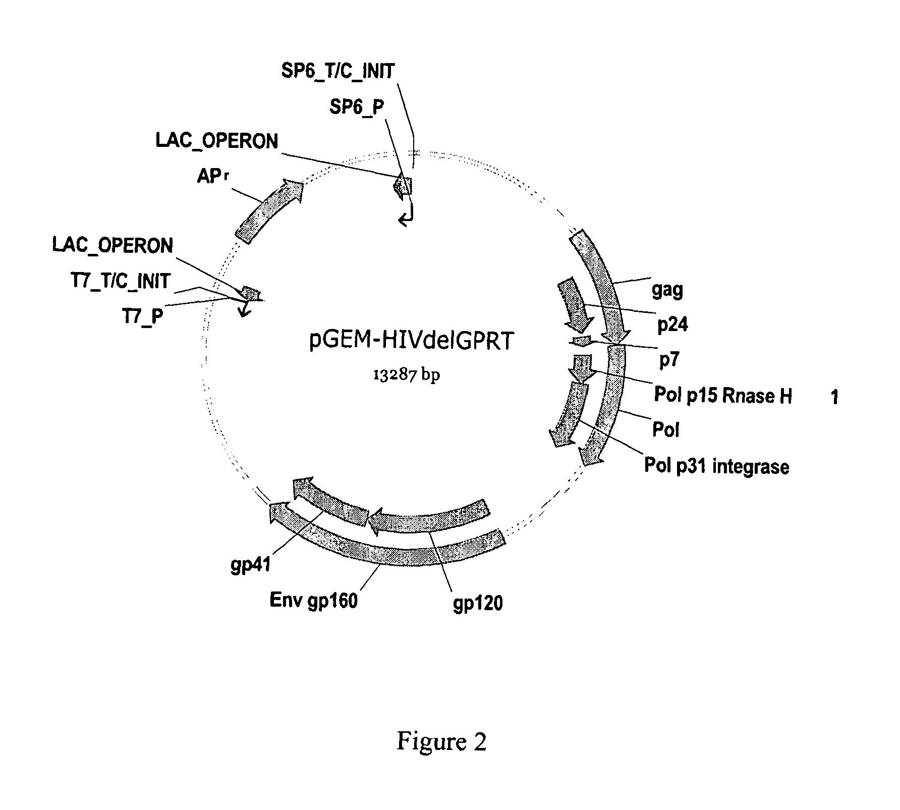 Methods, plasmid vectors and primers for assessing HIV viral fitness