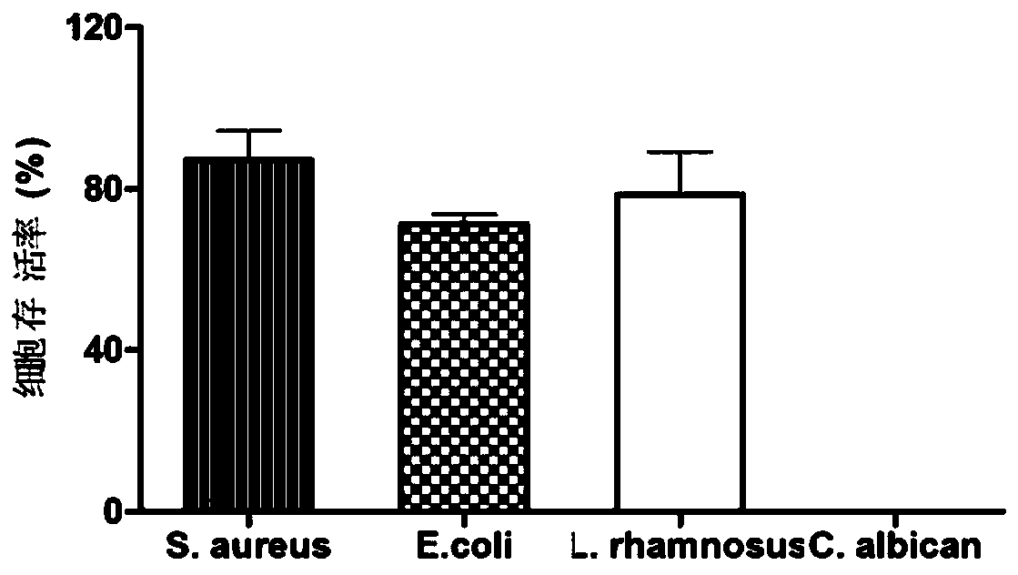 Non-specific receptor binding type fungus targeting antibacterial peptide, and preparation method and application thereof