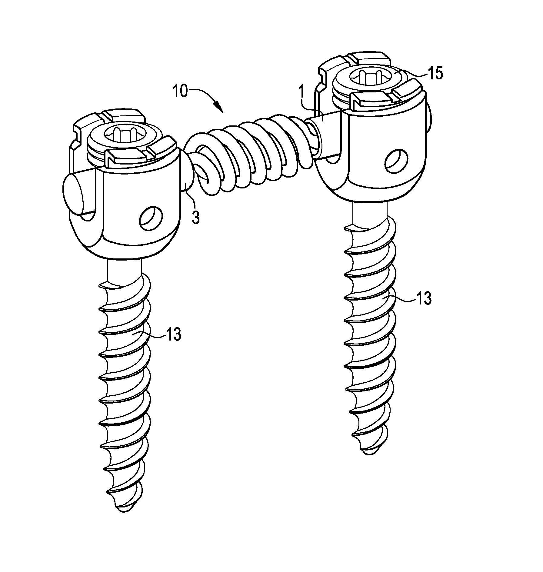 Dual spring posterior dynamic stabilization device with elongation limiting elastomers