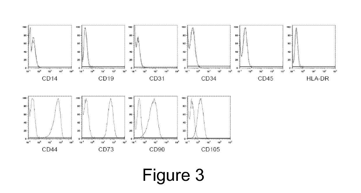 Derivation and Self-Renewal of Multipotent Cells and Uses Thereof