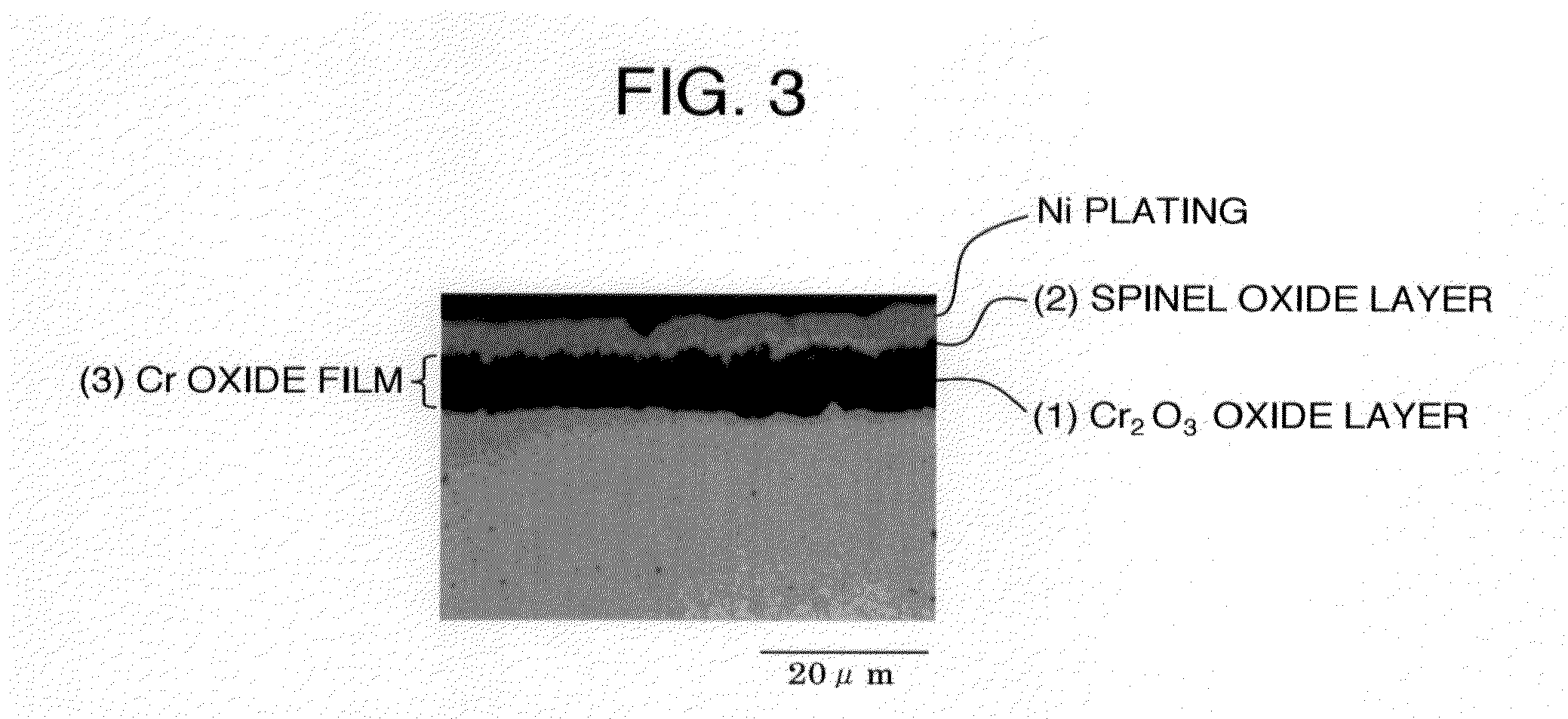 Steel for solid oxide fuel cell having excellent oxidation resistance