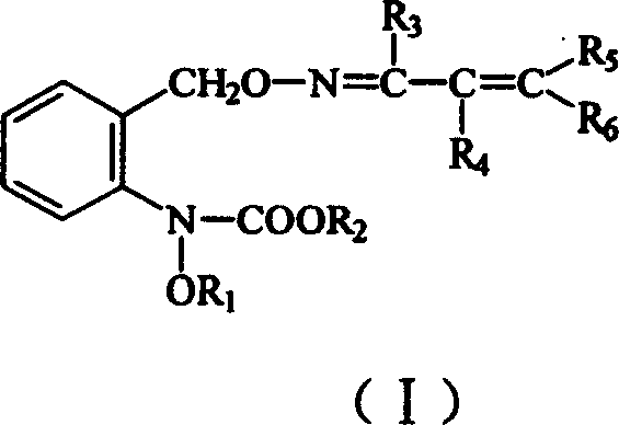 Carbamate sterilization compound containing vinyl oxime ether