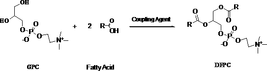 Method for preparing difatty acyl phosphatidylcholine by solid-phase reaction