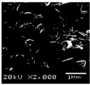 Lithium iron phosphate with controllable morphology and preparation method of lithium iron phosphate