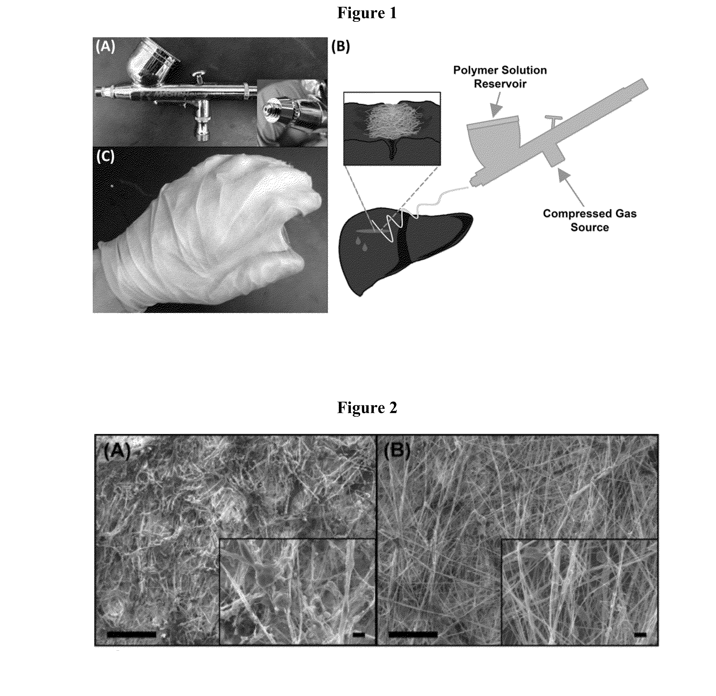 Solution Blow Spun Polymer Fibers, Polymer Blends Therefor and Methods of Use Thereof