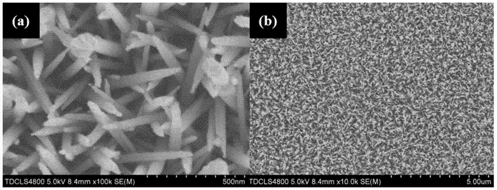 A Method for Improving Detection Accuracy and Durability of Quartz Crystal Microbalance