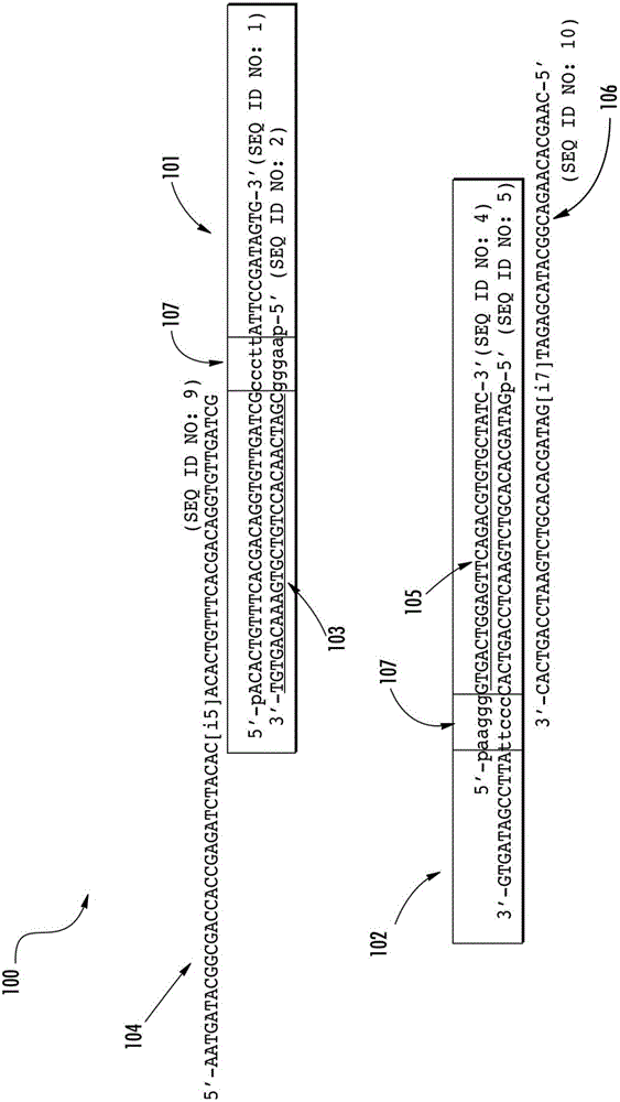 Compositions and methods for preparing sequencing libraries