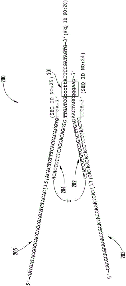 Compositions and methods for preparing sequencing libraries