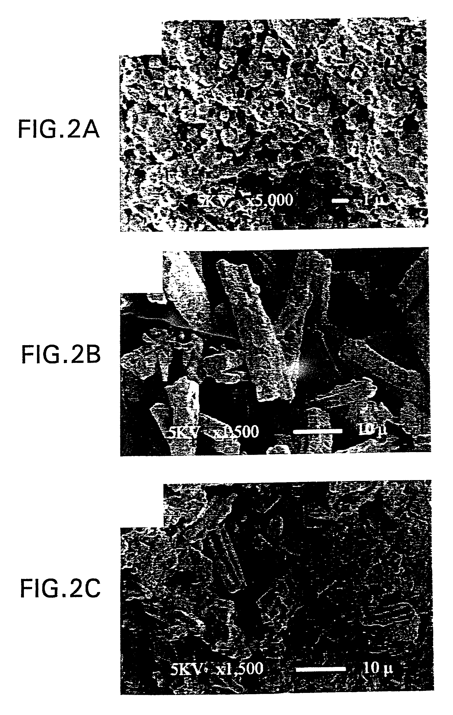 Method for solid oxide fuel cell anode preparation