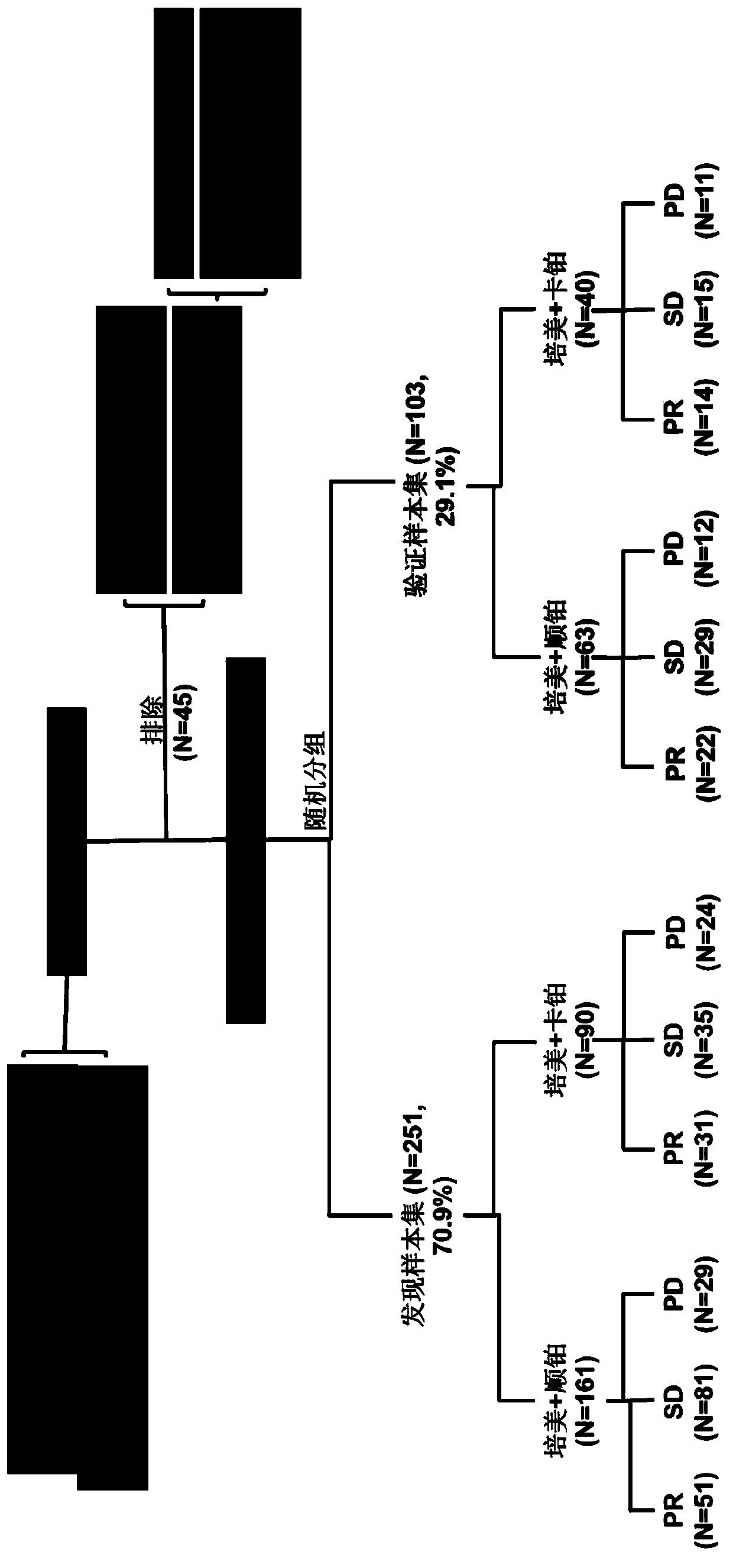 New markers for predicting the efficacy of pemetrexed combined with platinum in the treatment of non-small cell lung cancer and its application