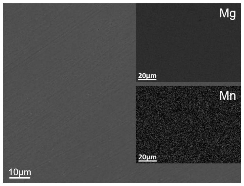 A biomedical pure magnesium surface functional structured ion implantation modified layer and its preparation method and application