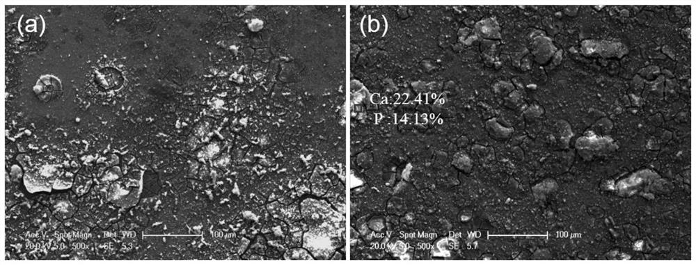 A biomedical pure magnesium surface functional structured ion implantation modified layer and its preparation method and application