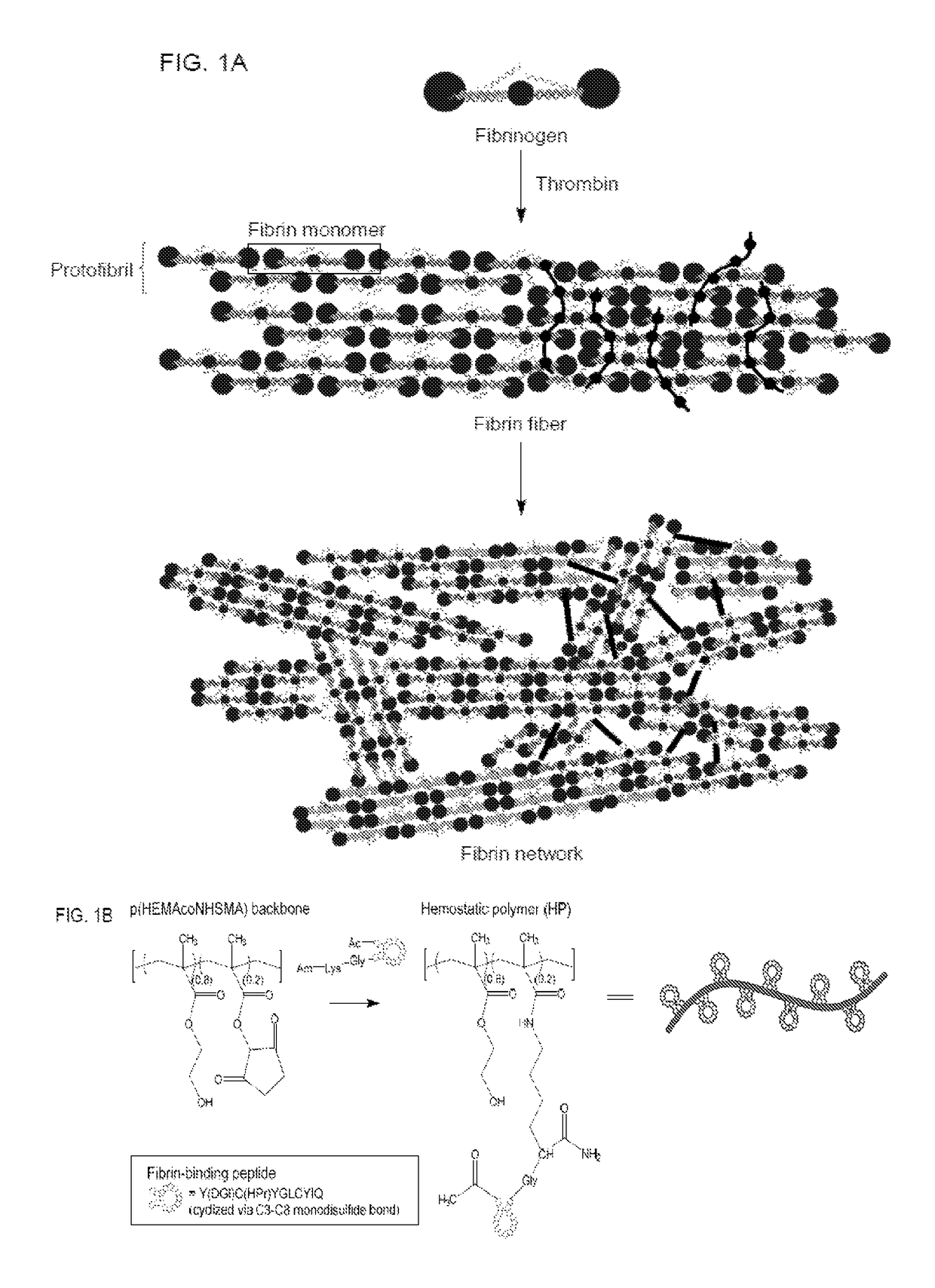 Biocompatible polymeric system for targeted treatment of thrombotic and hemostatic disorders