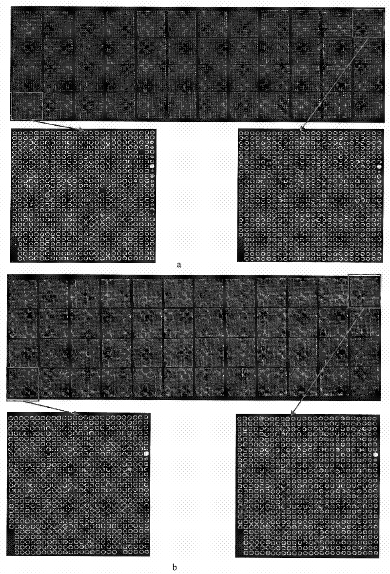 High-polymer three-dimensional amino-group substrate as well as preparation method and application thereof