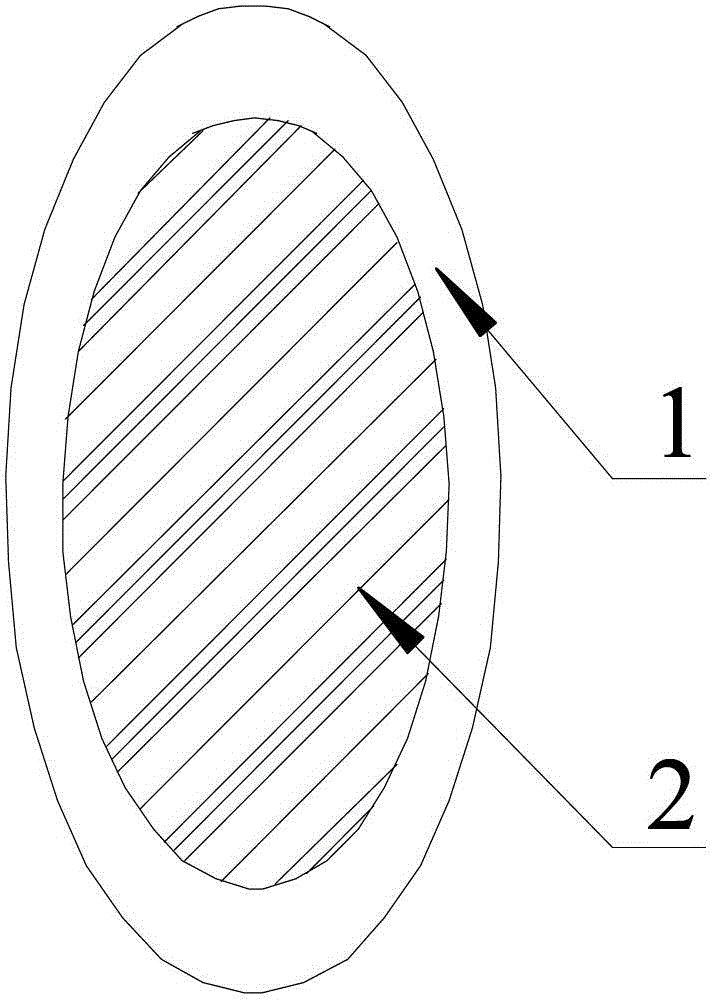 Testicular prosthesis