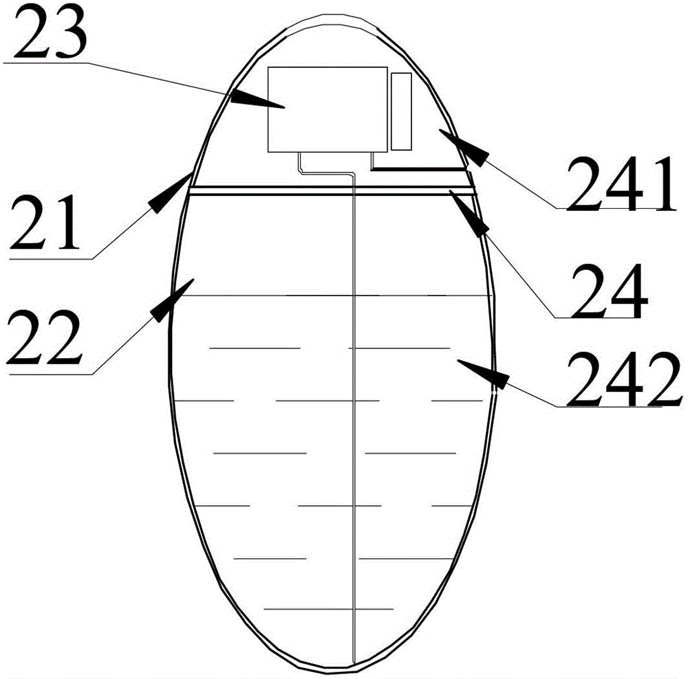 Testicular prosthesis