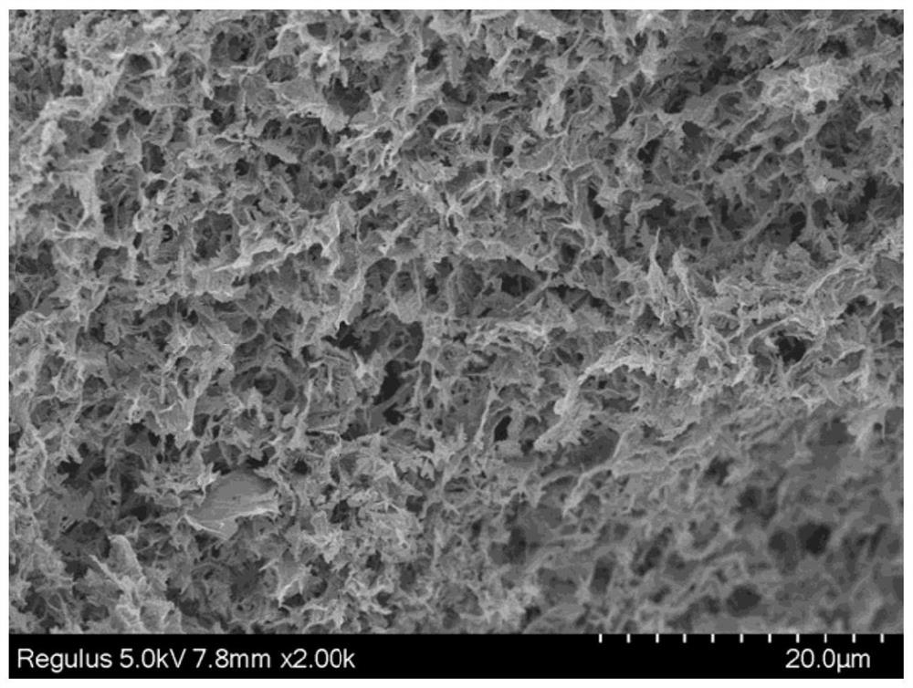 Pine dendritic samarium oxide graphene sulfur gel structure material and its preparation method and application