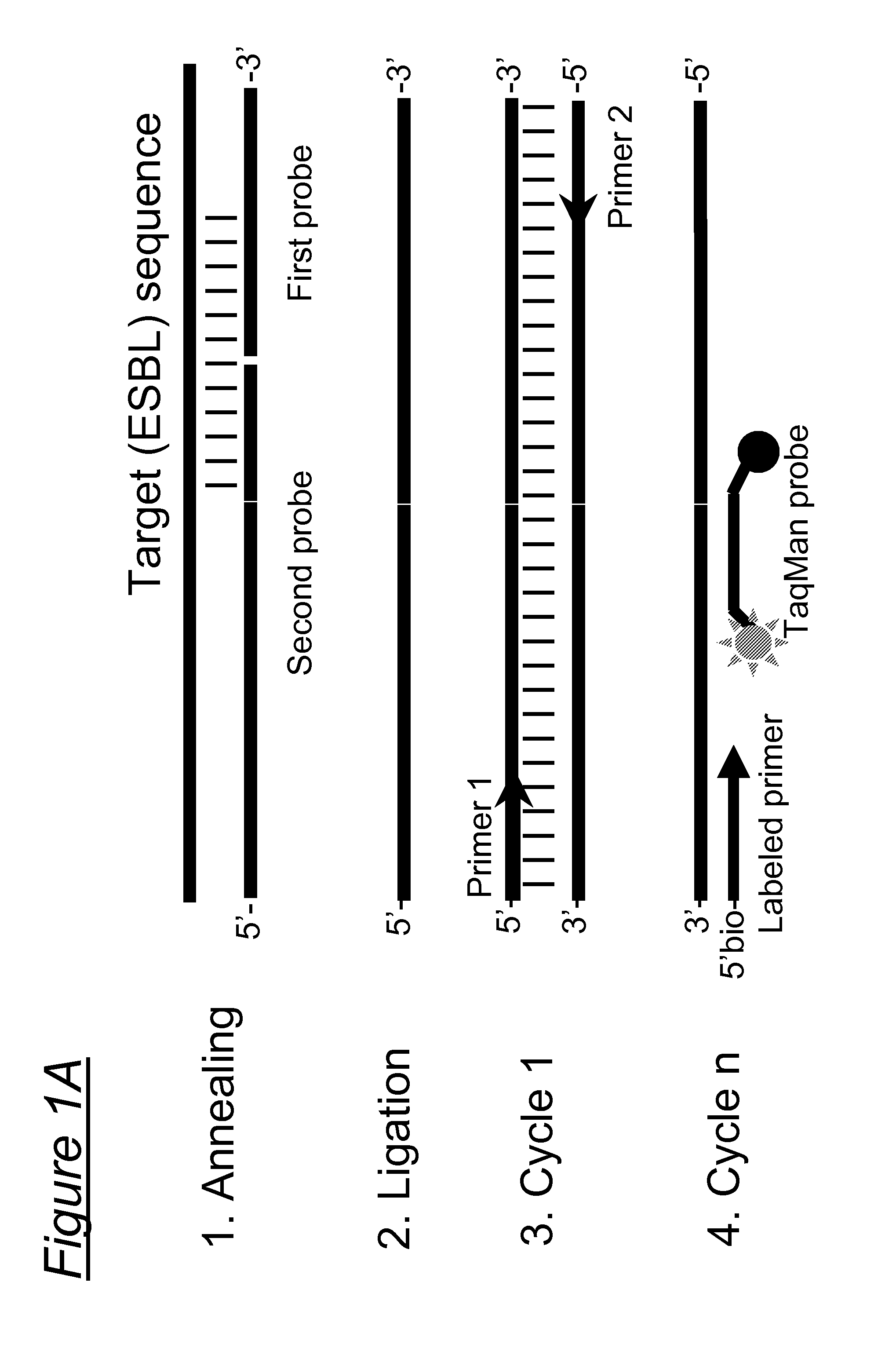 Assays, compositions and methods for detecting drug resistant micro-organisms