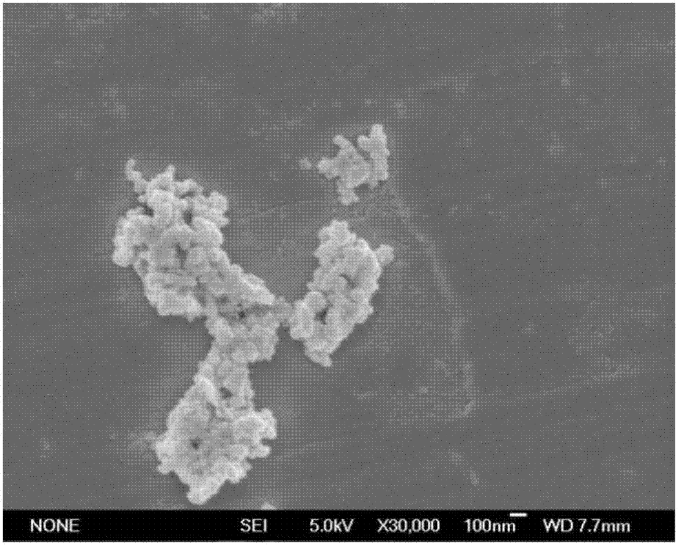 Method for improving bismuth ferrotitanium oxide nano-powder aggregation